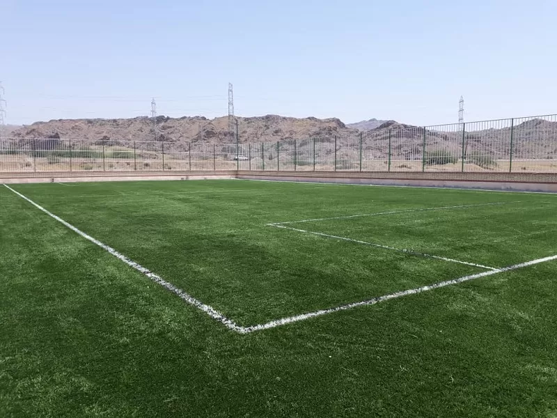 چمن مصنوعی نوبند میناب