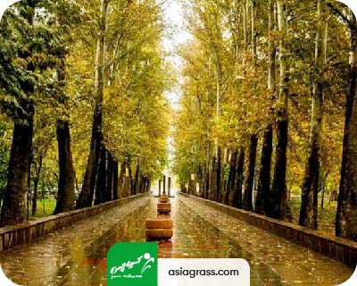فروش چمن مصنوعی در کرج