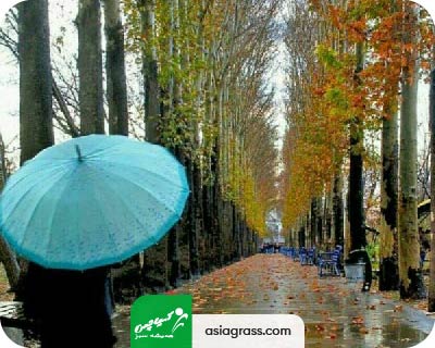 فروش چمن مصنوعی در کرج