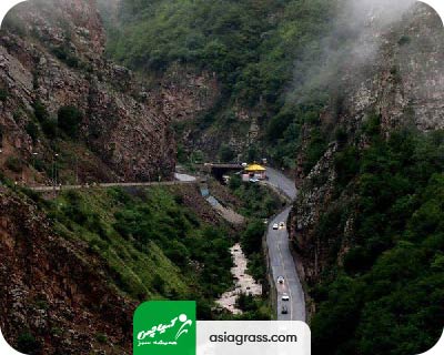 فروش چمن مصنوعی در کرج