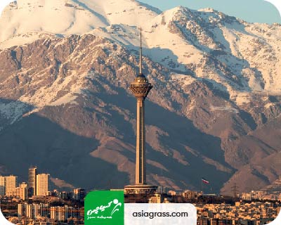 مرکزخرید و فروش چمن مصنوعی در تهران