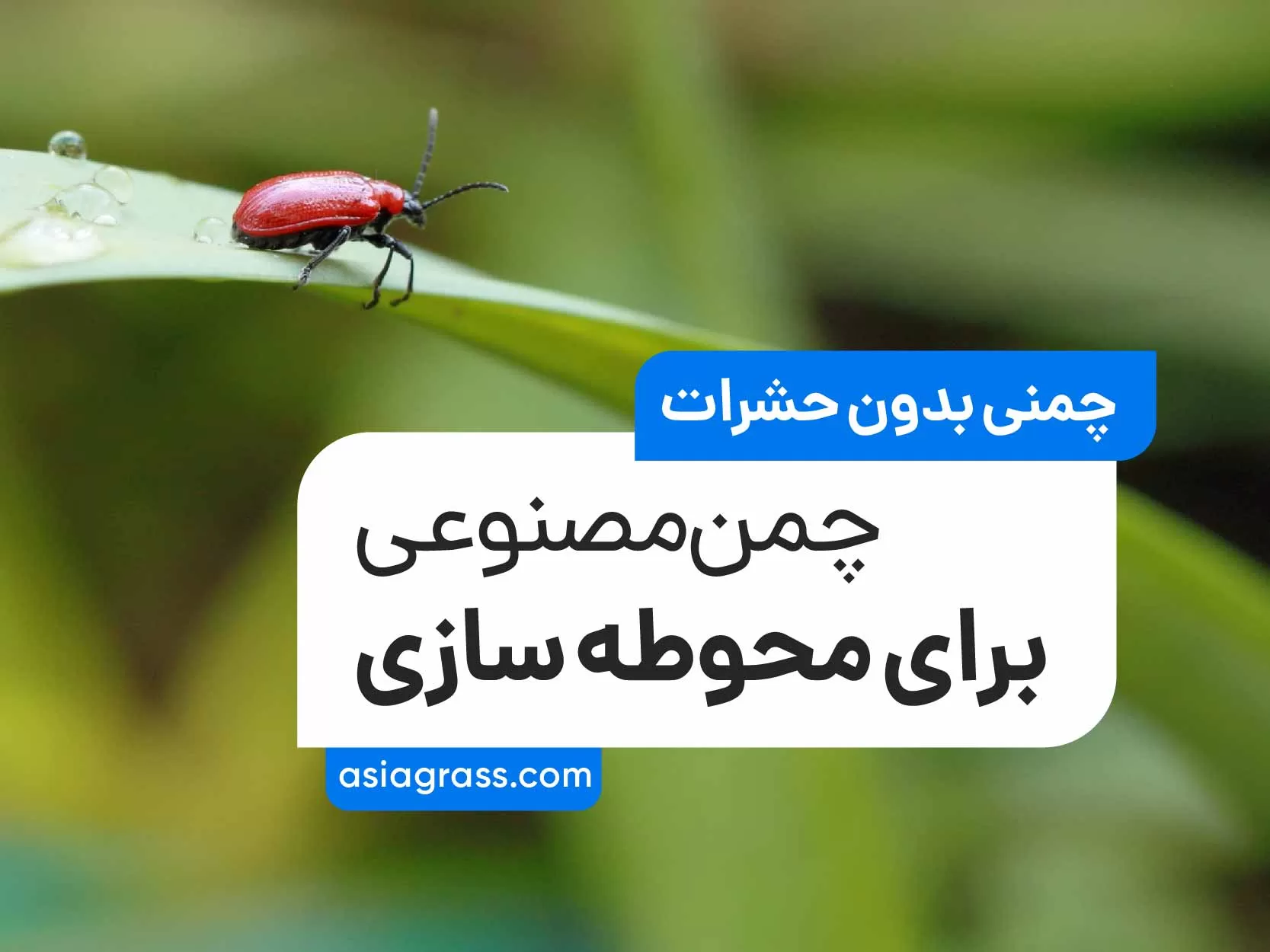 چمن مصنوعی برای محوطه سازی، چمنی بدون حشرات