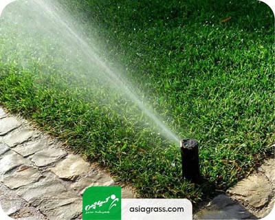 خرید چمن مصنوعی در اصفهان