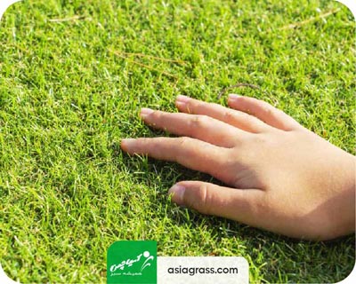 خرید چمن مصنوعی در اصفهان