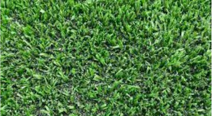 جلوگیری از فرسایش چمن مصنوعی