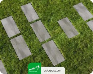 چمن مصنوعی بین سنگ