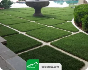 چمن مصنوعی بین سنگ