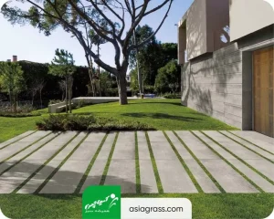 چمن مصنوعی بین سنگ