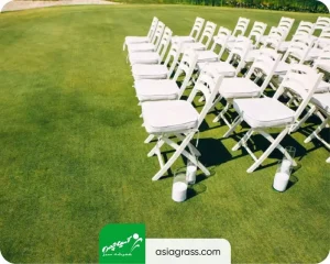 چمن مصنوعی تالار
