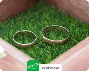 چمن مصنوعی تالار