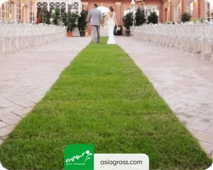 چمن مصنوعی تالار