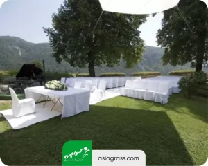 چمن مصنوعی تالار