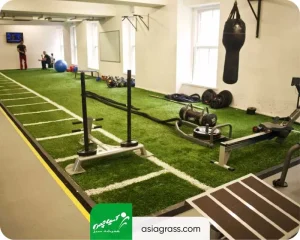 چمن مصنوعی ورزشی